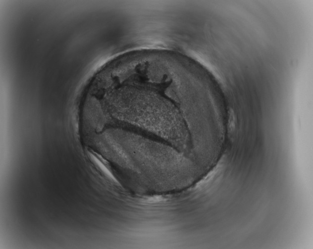 X0000094201455200711091210