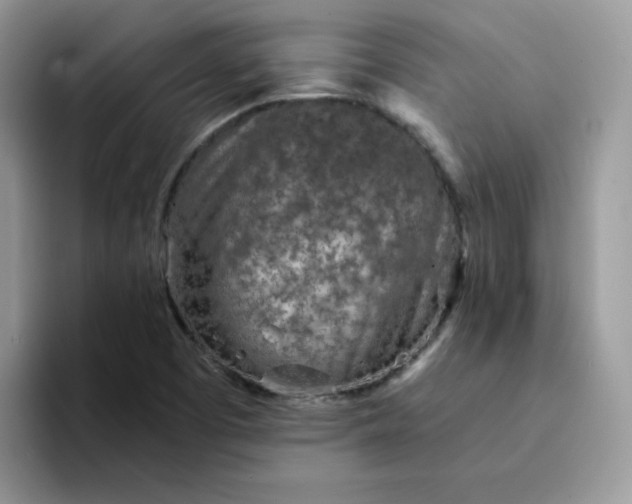 X0000094201457200711091210