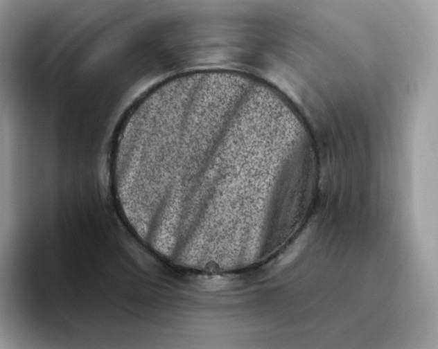 X0000094201458200711091210