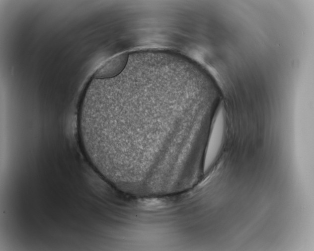 X0000094201459200711091210