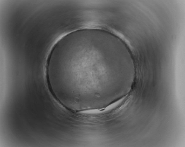 X0000094201463200711091210