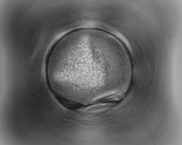 X0000094201464200711091210