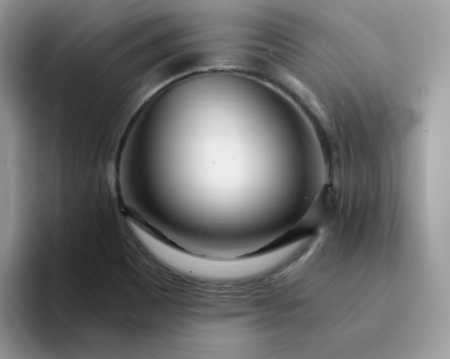 X0000094201465200711091210