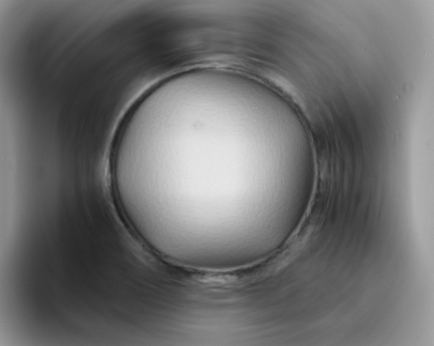 X0000094201466200711091210