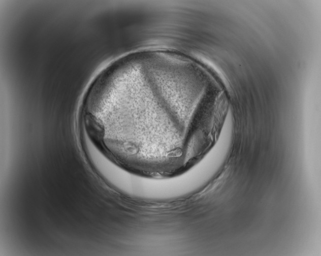 X0000094201467200711091210