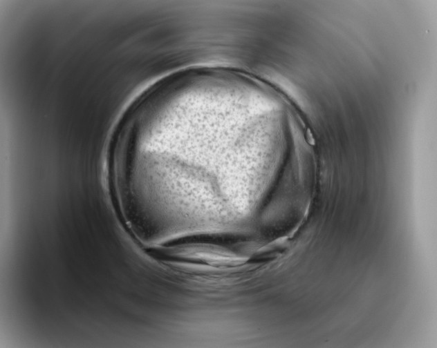 X0000094201468200711091210