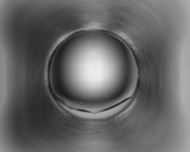 X0000094201469200711091210