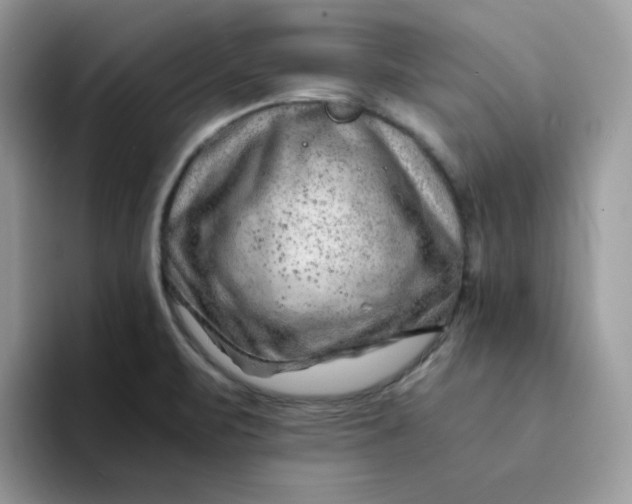 X0000094201471200711091210