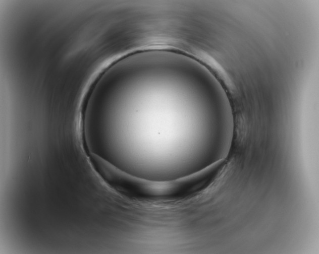 X0000094201472200711091210