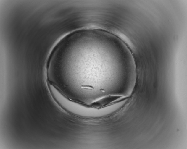 X0000094201476200711091210