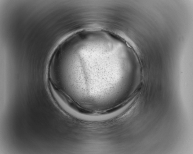 X0000094201477200711091210