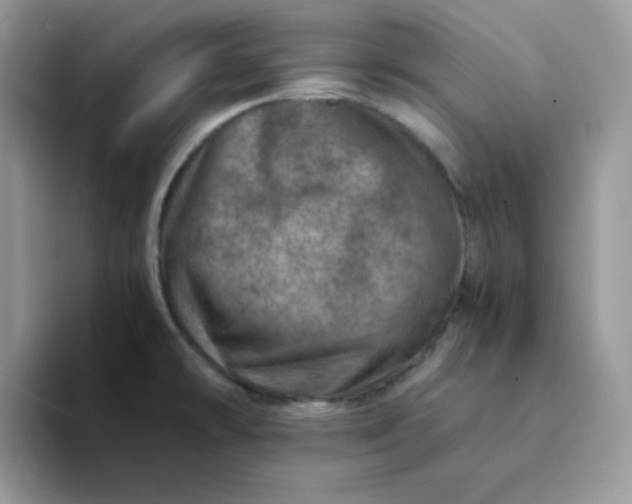 X0000094201478200711091210