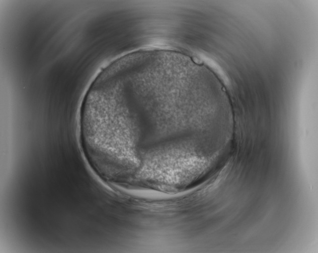 X0000094201479200711091210