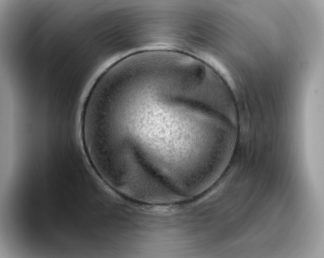 X0000094201480200711091210