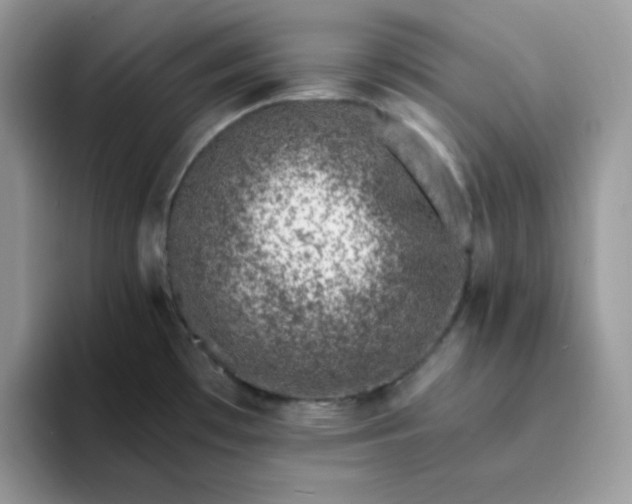 X0000094201481200711091210