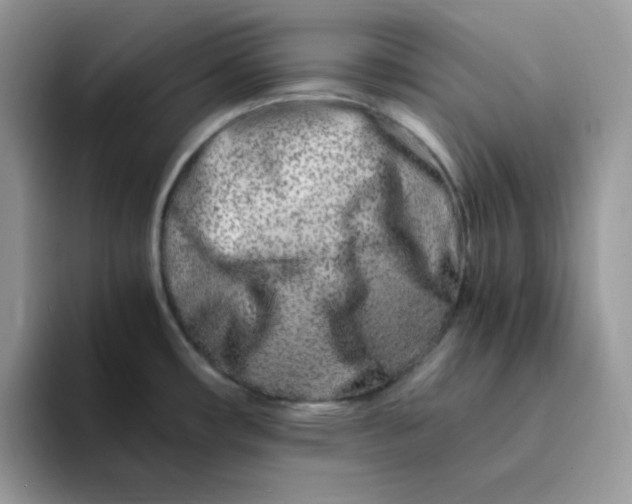X0000094201482200711091210