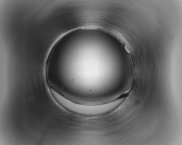X0000094201484200711091210