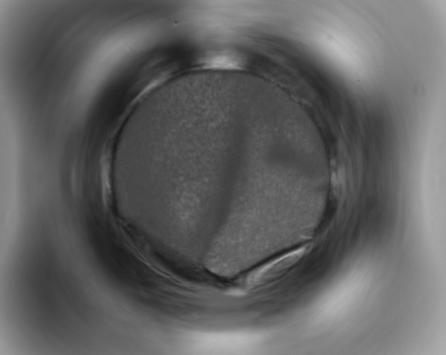 X0000094201487200711091210