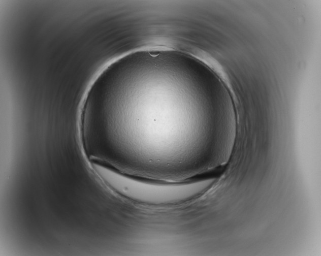 X0000094201488200711091210