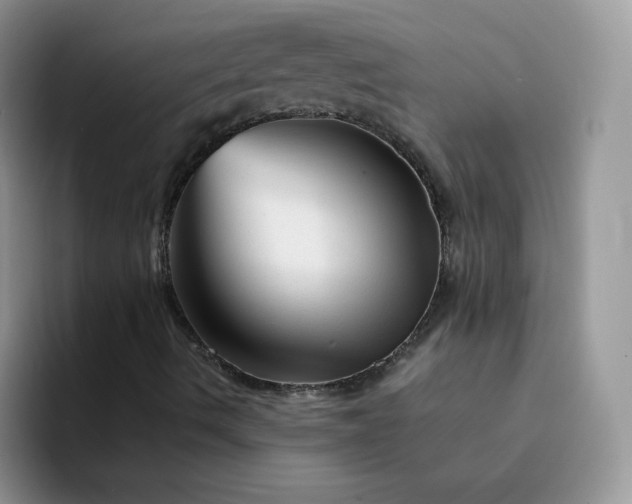 X0000094201490200711091209