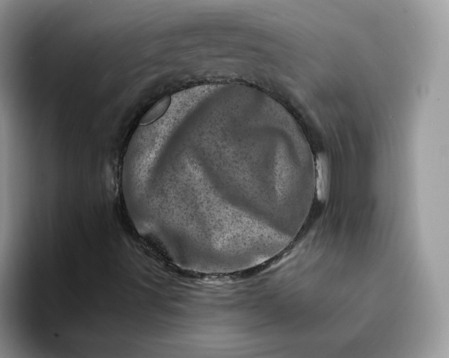 X0000094201491200711091209