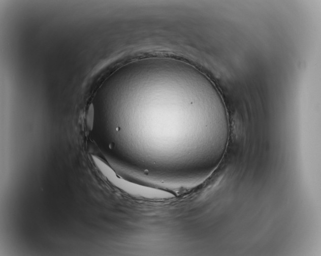 X0000094201494200711091209
