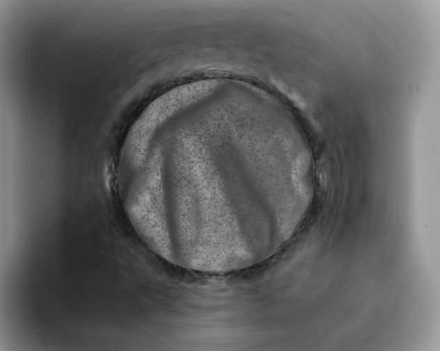 X0000094201495200711091210