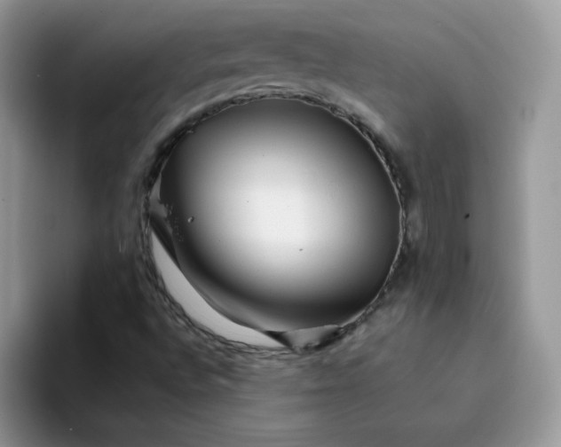 X0000094201496200711091210