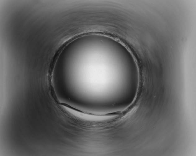 X0000094201497200711091210