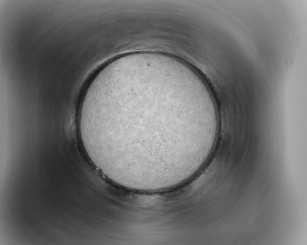 X0000094201498200711091210