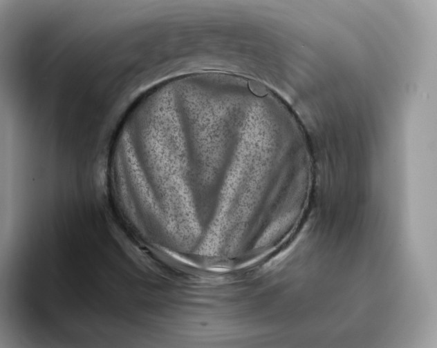 X0000094201499200711091210