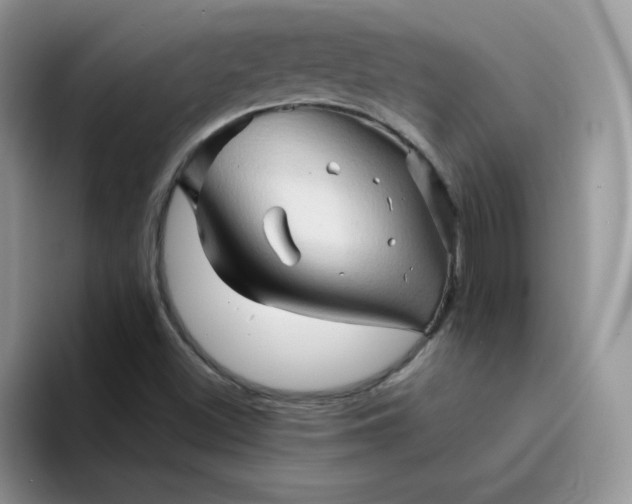X0000094201500200711091210