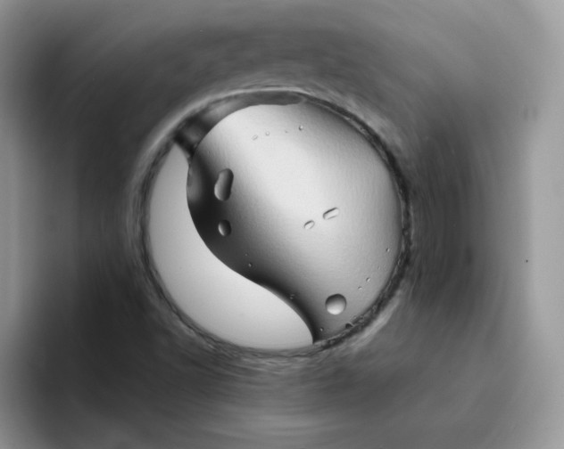 X0000094201502200711091210