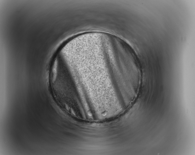 X0000094201503200711091210