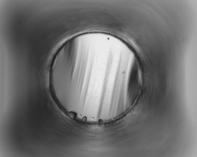 X0000094201504200711091210