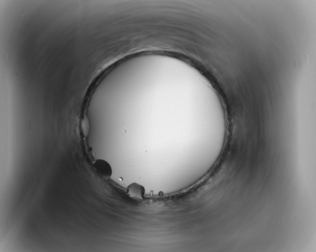 X0000094201505200711091210
