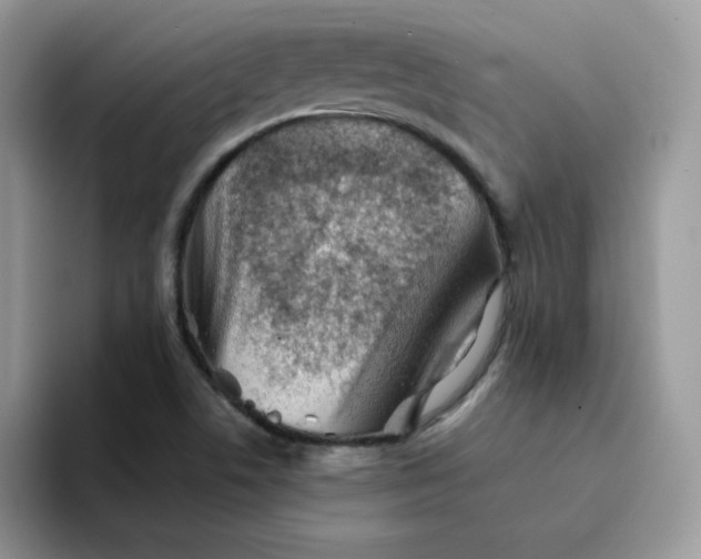 X0000094201506200711091210