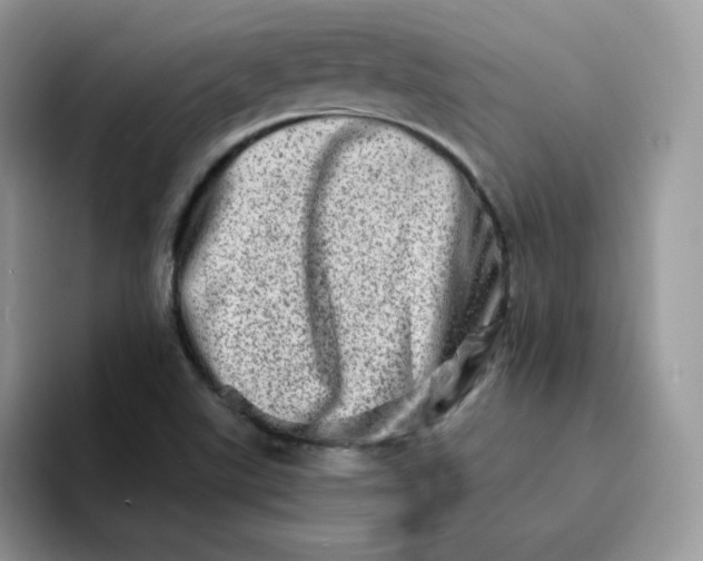 X0000094201507200711091210