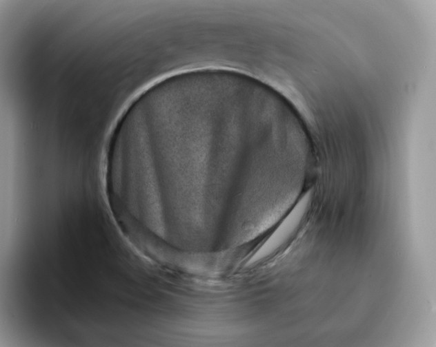 X0000094201508200711091210
