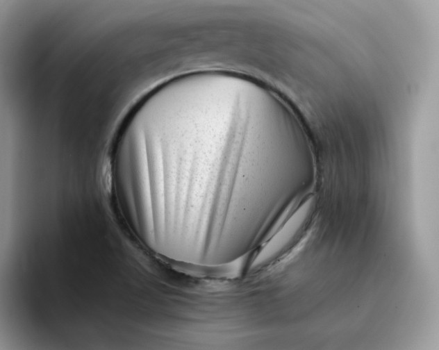 X0000094201509200711091210