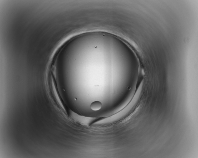 X0000094201510200711091210