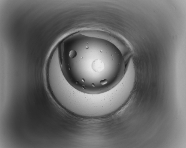 X0000094201514200711091210