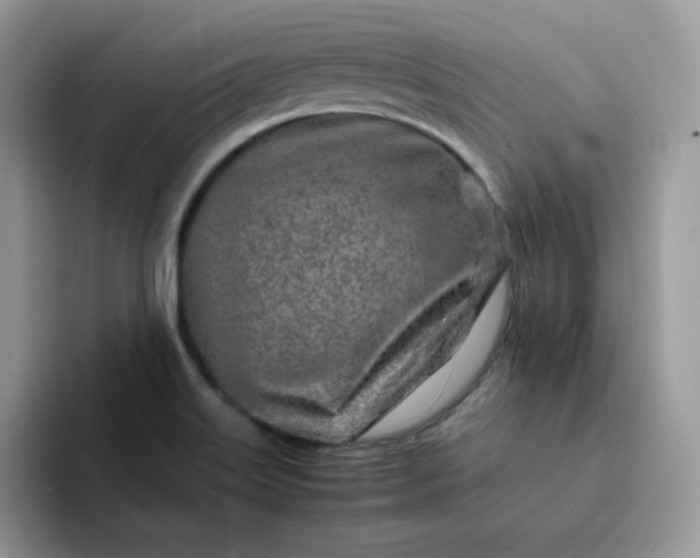 X0000094201515200711091210