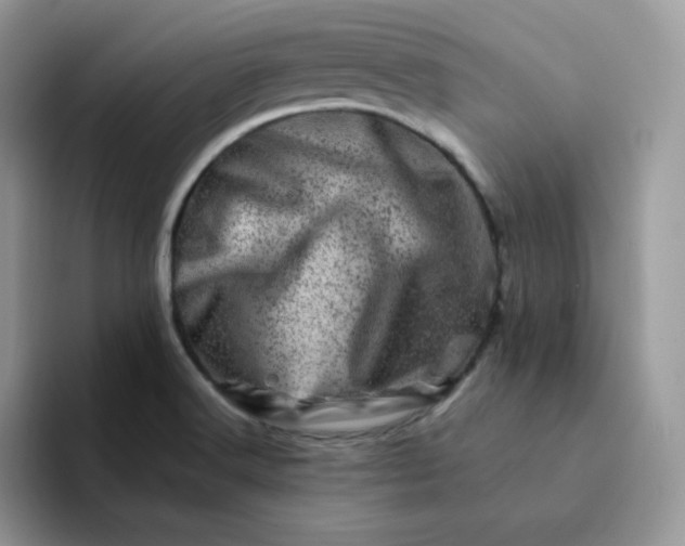X0000094201516200711091210
