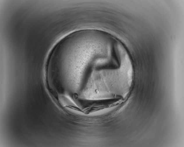 X0000094201517200711091210