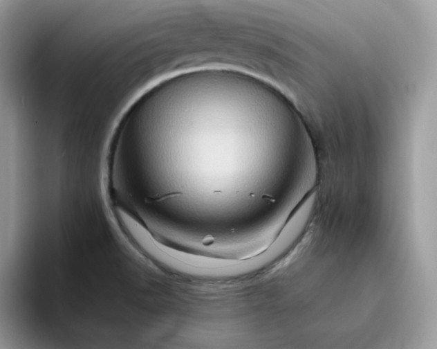 X0000094201518200711091210