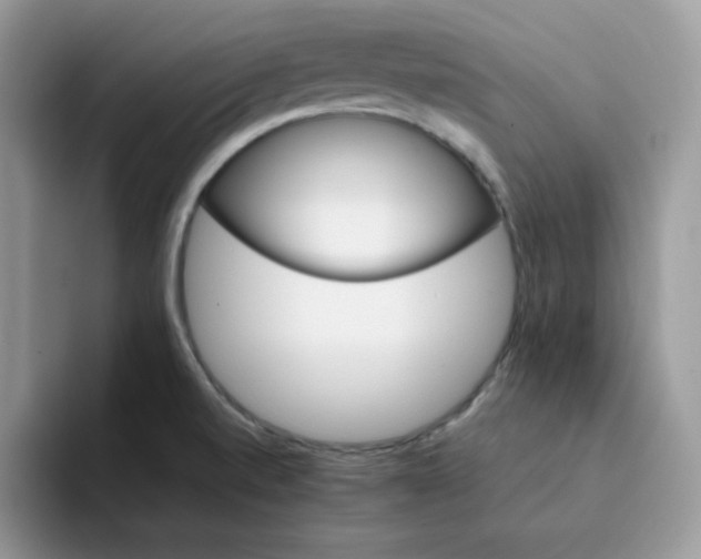 X0000094201520200711091210