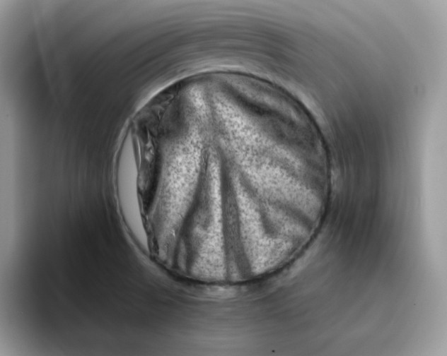 X0000094201521200711091210