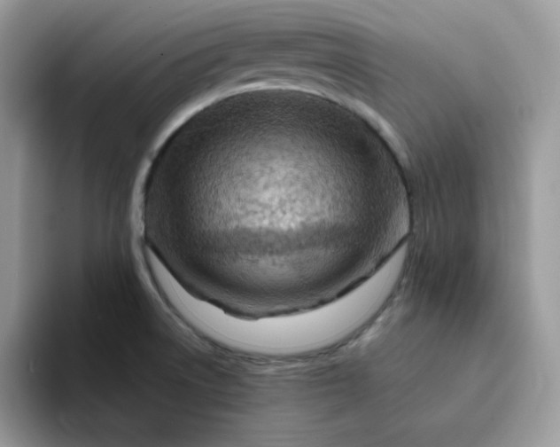 X0000094201522200711091210