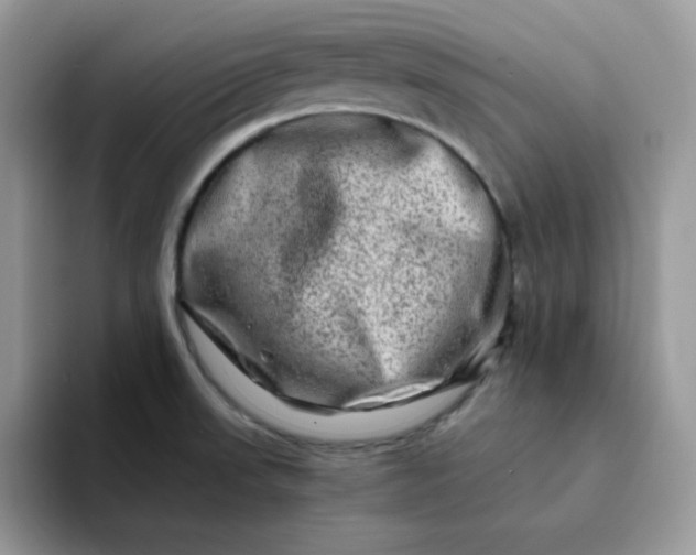X0000094201523200711091210